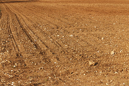 brown field view thumbnail
