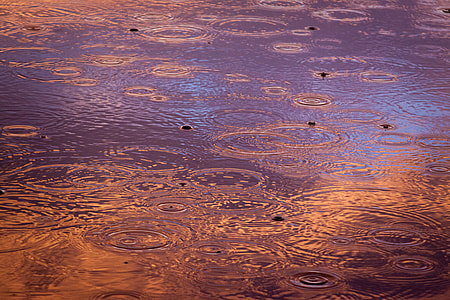 rain drops on body of water thumbnail