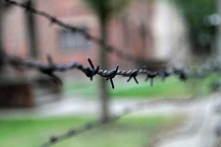 selective focus photography of black barbed wire thumbnail