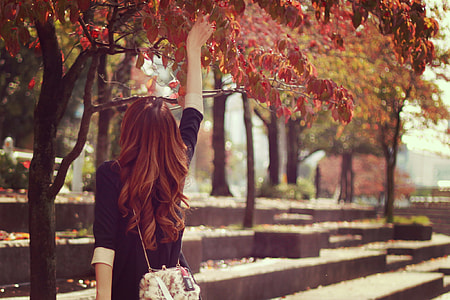 woman in black elbow-sleeved dress holding red leaf tree thumbnail
