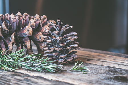 Two Brown Pine Cones on Brown Wooden Surface thumbnail