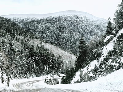 road near trees and mountain during snow thumbnail