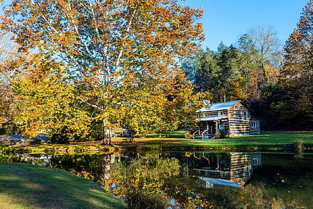 brown house near forest and river thumbnail