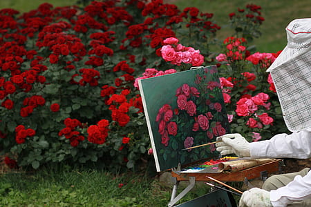 pink and red roses painting thumbnail