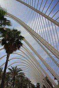 Valencia, City Of Arts And Sciences thumbnail
