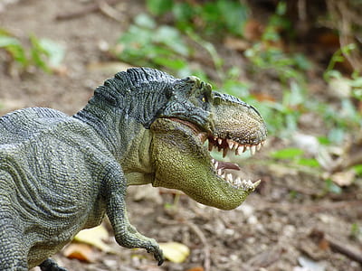 gray and green T-rex toy thumbnail