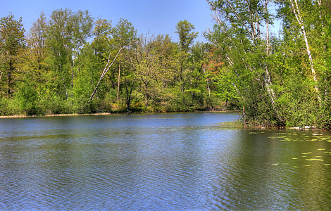 Shore of the lake at Governor Thompson State Park, Wisconsin thumbnail