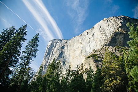 mountain surrounded by trees thumbnail