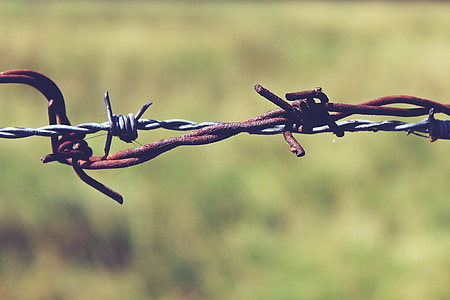 selective focus photography of black and gray barbwire thumbnail