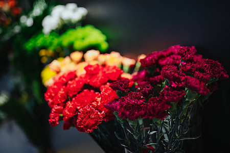 Collection of colourful flower bouquets thumbnail