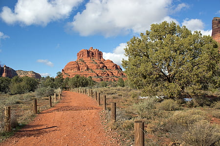 brown rock formation near green palnts thumbnail