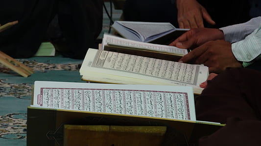 person holding book thumbnail