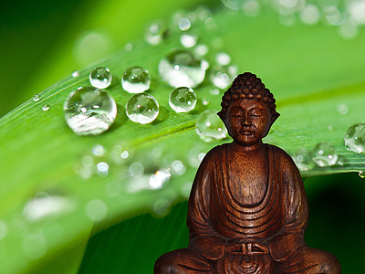 brown wooden buddha thumbnail