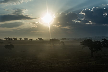 tree under tree at daytime thumbnail