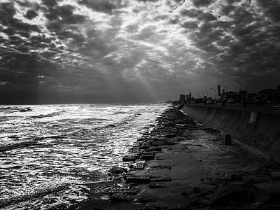 grayscale photo of seashore thumbnail