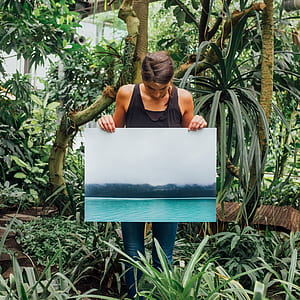 person wearing black tank top holding poster with body of water near tree print thumbnail