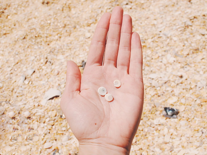 left person's palm with three stones