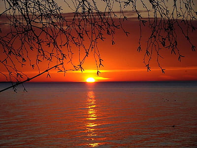golden hour on beach shore thumbnail