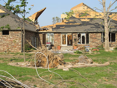 trees near wrecked house thumbnail