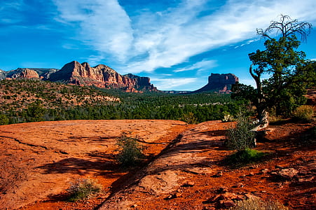 landscape photography of brown rock formation surrounded by green trees thumbnail