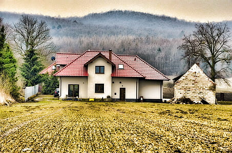 white concrete house near bare trees thumbnail