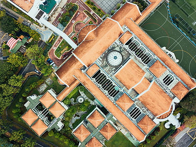 aerial view of concrete cathedral surrounded by trees thumbnail