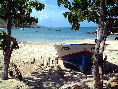 white and blue boat docked on seashore thumbnail