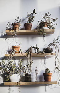 brown wooden float racks thumbnail