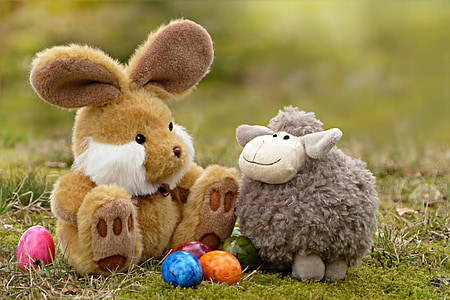 shallow focus photography of two assorted plush toys thumbnail