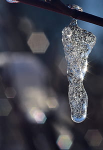 selective photography of ice thumbnail