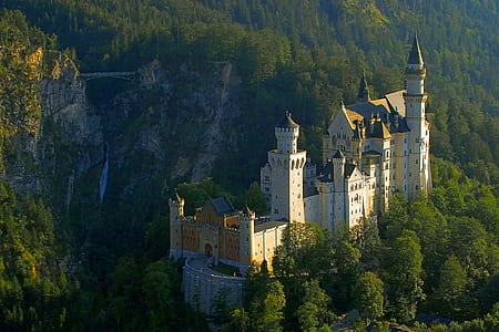 aerial photography of castle surrounded by trees thumbnail