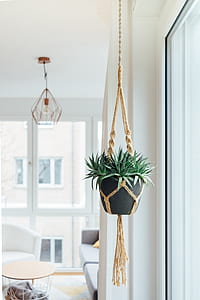 black hanging pot snide room thumbnail