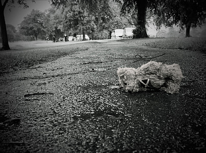 grayscale photo of teddy bear on concrete thumbnail
