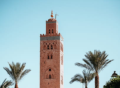 brown concrete building near palm trees at daytime thumbnail