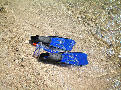 blue-and-black flippers on sand thumbnail