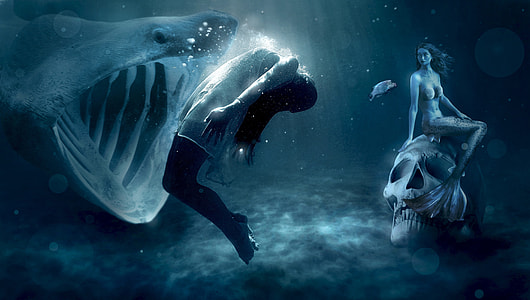mermaid sitting in human skull grayscale photo thumbnail