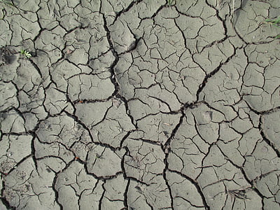 texture, nature, mud, trough, river, pool thumbnail