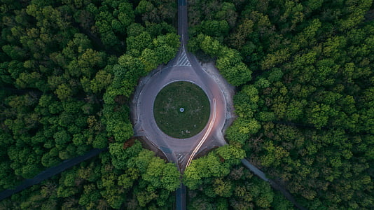 aerial photography of round road surrounded by trees during daytime thumbnail
