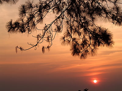 light, dawn, nature, sky thumbnail
