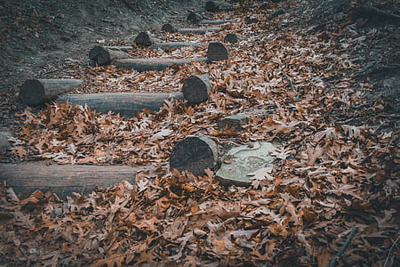 brown wooden stairs thumbnail