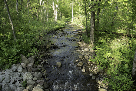 Trees, sunlight, and Otter Creek at Baxter's Hollow, Wisconsin thumbnail