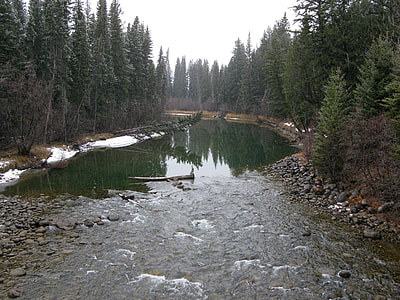 Miette River landscape in the winter at Jasper National Park, Alberta, Canada thumbnail