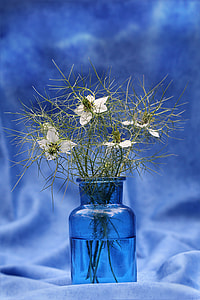 selective focus photo of flowers thumbnail