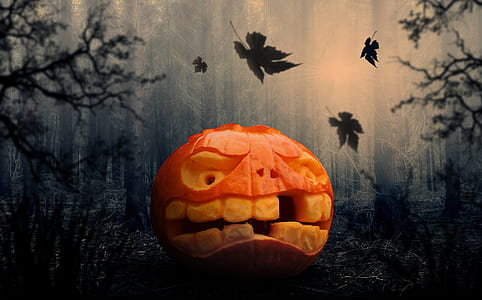 Jack-o-Lantern with black and gray background thumbnail