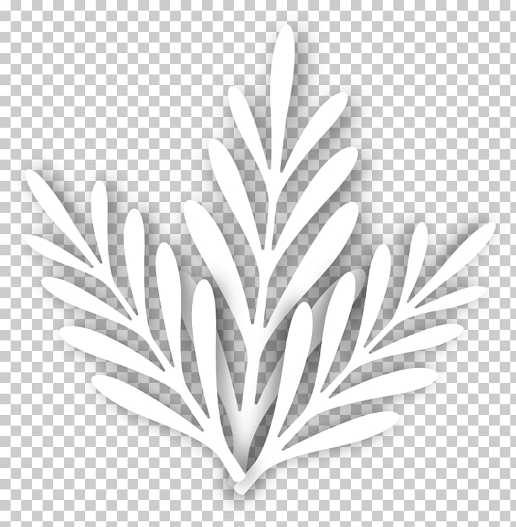 Leaf White Tree Leaf Png Clipart Free Cliparts Uihere