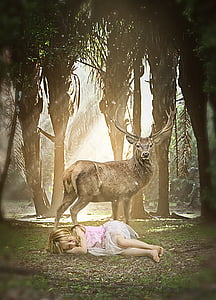 girl lying on the grass beside brown deer thumbnail