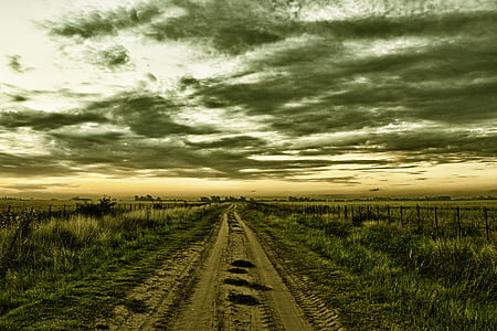 mud pathway surrounded by green grass under cloudy sky at sunset thumbnail