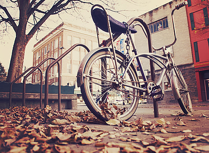grey banana bike parked on grey metal rail under brown bare tree thumbnail