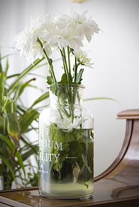white flowers on clear glass vase filled with clear liquid thumbnail