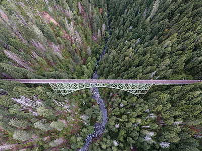 Aerial View of Bridge and Trees thumbnail